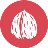 Cáscara