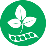 Soja